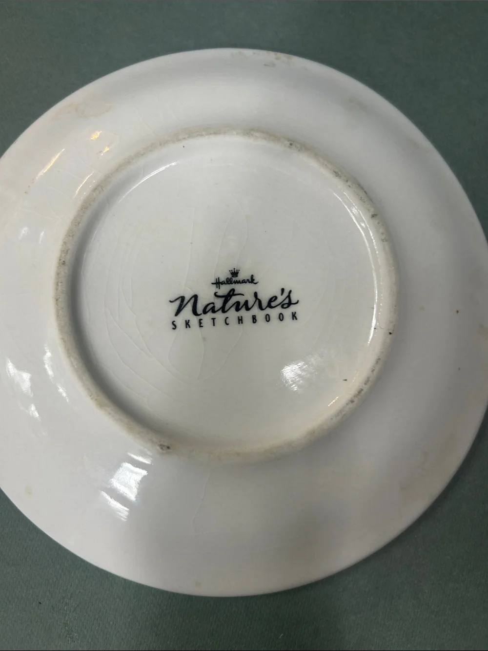 Hallmark Ceramic Woven-Texture Teacup & Saucer - Pale Green with Pink Interior